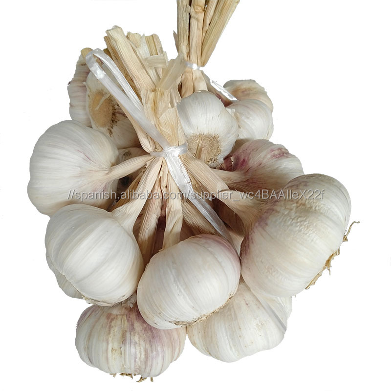 Ajo Natural incluido