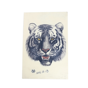 Fournitures de tatouage <span class=keywords><strong>Dragonhawk</strong></span> en gros, 5 unités de peau d'entraînement 18x15x0.3cm - Product Image 1