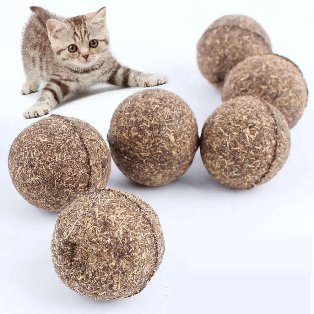 Catnip Natural Mainan Kucing Bola Dapat Dimakan Mainan Anak Kucing Rumah Matatabi Bola Mengejar Sehat Aman Membersihkan Gigi untuk Hewan Peliharaan Kucing Kucing
