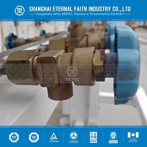 CGA300(QF-70) CGA cilindro de <span class=keywords><strong>Gas</strong></span> válvula de <span class=keywords><strong>Gas</strong></span> para la seguridad Industrial estufa tipos - Product Image 4