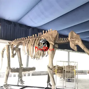 Taille réelle Mammouth Squelette Animal Modèle
