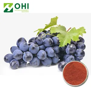 Procyanidin B2 Grape Seed Extract Suppliers