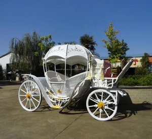 De alta calidad de la <span class=keywords><strong>personalidad</strong></span> carruaje de calabaza/Cenicienta <span class=keywords><strong>caballo</strong></span> carruaje para venta - Product Image 1