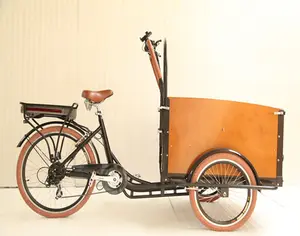 Europe three wheel tricycle cargo bike with heavy loading 200KG