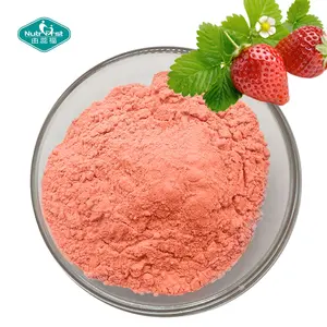 Water Soluble Flavor Fruit Juice Concentrate Customized Freeze Dried Strawberry Fruit Powder with Free Sample