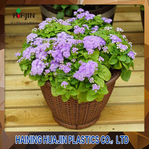 Distintivo <span class=keywords><strong>de</strong></span> Ratán Jardín Al Aire Libre Plantadores Maceta <span class=keywords><strong>de</strong></span> Plástico Moldeado Por Inyección Para <span class=keywords><strong>Bonsai</strong></span> - Product Image 3