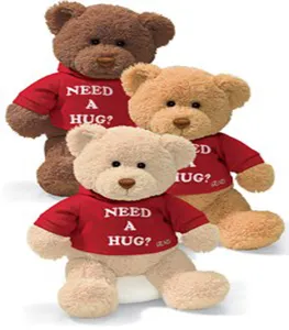 new sunrise wholesale Boyfriend Need a Hug Teddy Bear wears a removable Red Hoodie with the message 'Need a Hug' embroidered