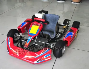 Go kart — pièces pour adultes, course go kart, pièces à vendre