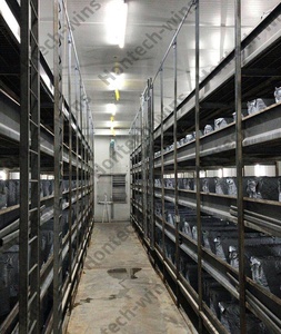 Tubo LED IP67 6500K per Coltivazione Funghi, Luce Bianca per Serre Indoor - Product Image 3