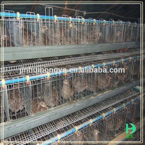 Gros <span class=keywords><strong>poulailler</strong></span> plans <span class=keywords><strong>design</strong></span> couche automatique cage de poulet à vendre - Product Image 2
