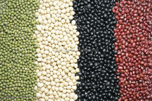 Máquina Comercial para Pulir Granos de Cacao, Máquina para Limpiar Semillas de Aves <span class=keywords><strong>Canarias</strong></span> - Product Image 6