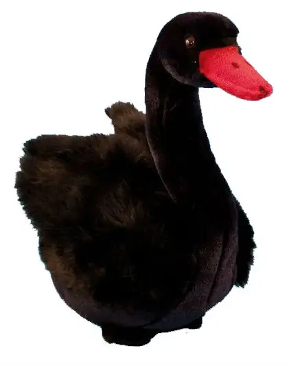 Tutti i nostri Peluche nero rb113 Cigno Nero, bello Cigno Nero Morbido Giocattolo