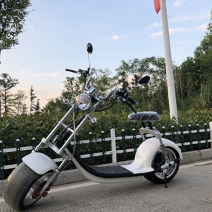 Moteur de hachoir à moteur 1500W, 60V, 20ah, pour adultes, entrepôt européen, livraison gratuite <span class=keywords><strong>Moto</strong></span> électrique pour enfants, Sport, expédition rapide, NZITA - Product Image 1