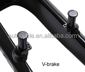 <span class=keywords><strong>Fourche</strong></span> avant pour vélo, vente en gros, livraison gratuite, fournisseur chinois avec plus de 20 ans d'autonomie sur les bicyclettes à assembler - Product Image 5
