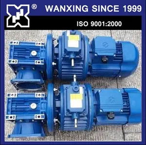 Bor tunggal pengurangan worm gear reducer kecepatan digunakan dengan tugas berat motor listrik