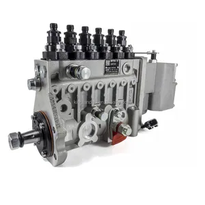 Original or new OEM auto parts BYC fuel injection pump CPES6PB110D120RS diesel engine 6BTA5.9-C150 fuel pump