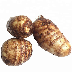 Chinois En Gros Prix Frais Communs Fidji <span class=keywords><strong>Taro</strong></span> - Product Image 1