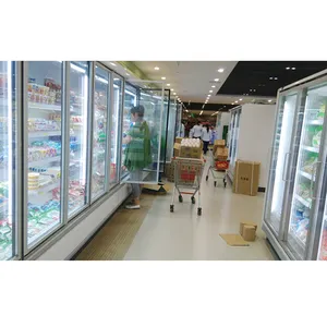 商用冰箱显示玻璃门系统，用于步行式冷冻机