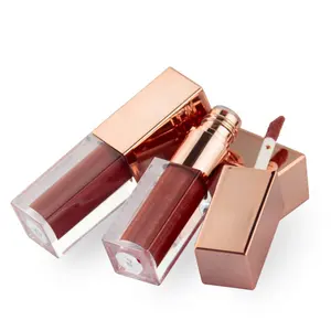OEM ODM Make Up Berkualitas Tinggi Label Pribadi Lipstik Mini Membuat Anda Sendiri Lip Gloss