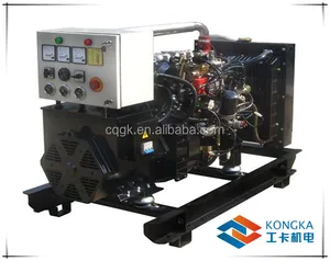 20kw 25kva thương hiệu Trung Quốc động cơ Gas máy phát điện đặt