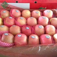 Vers Fruit Importeurs Verse Apple Verse Apple Fruit Fuji Apple Van Yantai Gebied