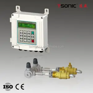 Đại Liên taosonics chèn loại treo tường siêu âm đo lưu lượng các nhà cung cấp