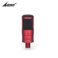 Lane Lbp-210 Grote Diafragma Hot Koop Factory Prijs Professionele Studio Broadcasting Opname Condensator Mmicrophone