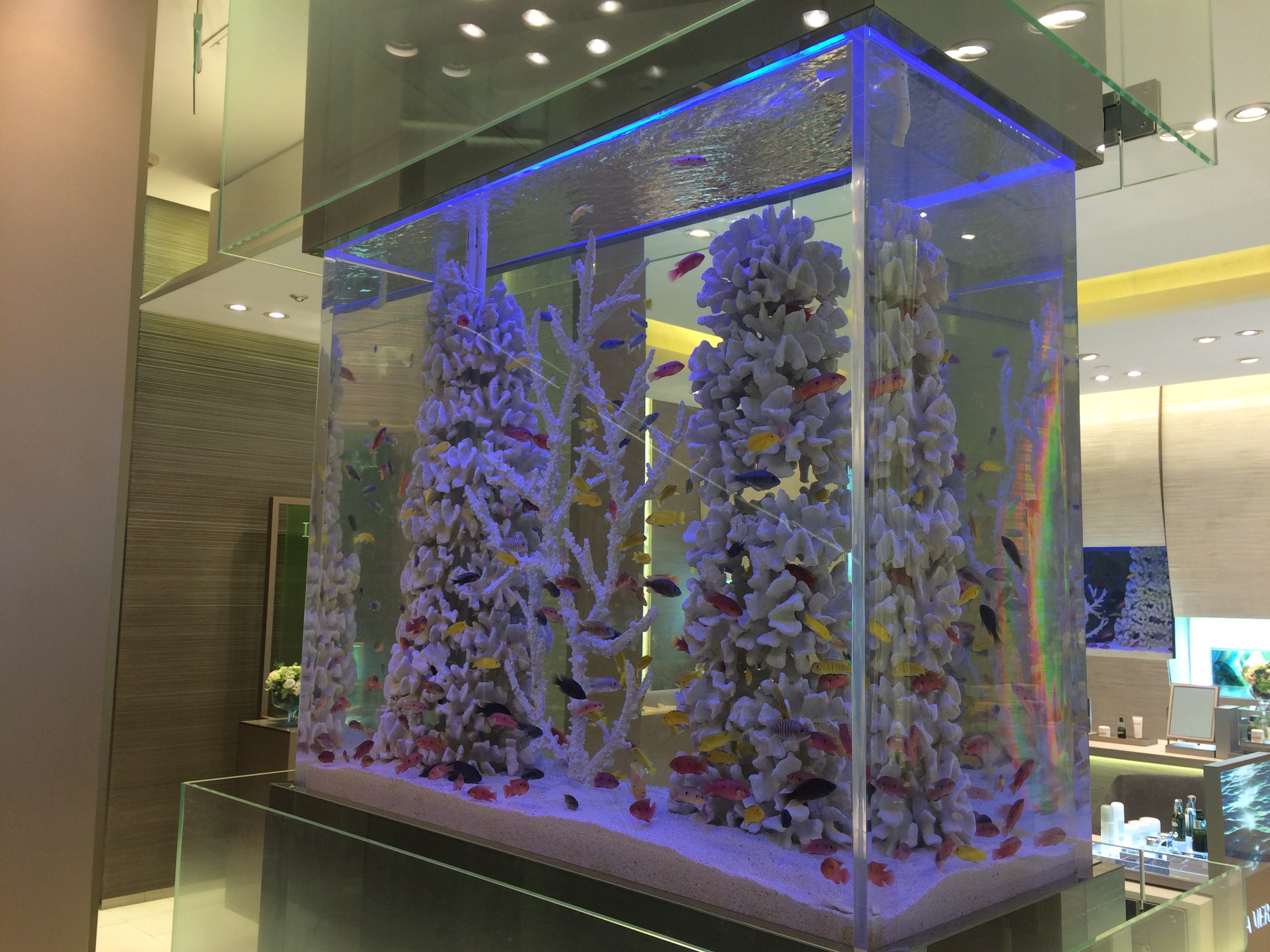 โปร่งใส