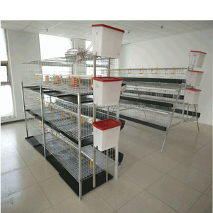 SSDราคาถูกและมีคุณภาพสูงเด็กลูกไก่กรงไก่ - Product Image 3