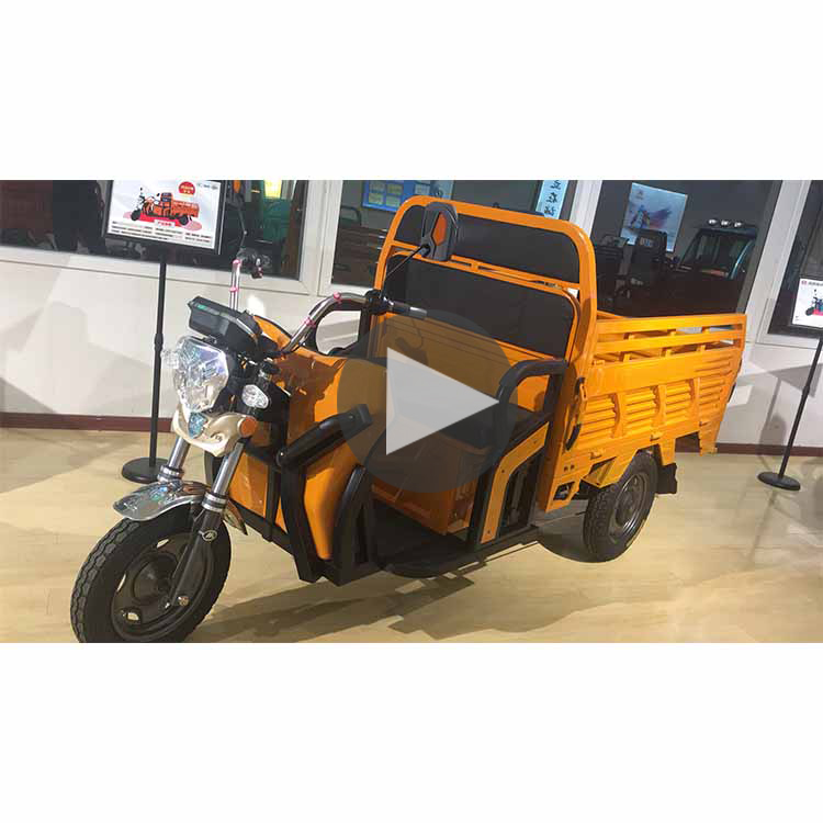 Трицикл для перевозки грузов Гана, Электрический рикша