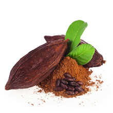 Ventes chaudes <span class=keywords><strong>de</strong></span> poudre <span class=keywords><strong>de</strong></span> <span class=keywords><strong>cacao</strong></span> pure à base <span class=keywords><strong>de</strong></span> polyphénols et <span class=keywords><strong>de</strong></span> thérobromine, extrait <span class=keywords><strong>de</strong></span> <span class=keywords><strong>cacao</strong></span>, graines <span class=keywords><strong>de</strong></span> <span class=keywords><strong>cacao</strong></span> - Product Image 4