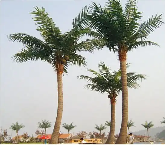 कृत्रिम नारियल के पेड़/बिक्री के लिए नकली ताड़ के पेड़