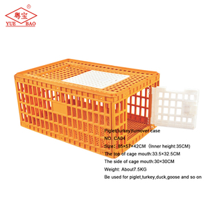 Boîte de transport pour volailles vivantes en matériaux PP, état neuf, caisses pour canards, faisans, poulets, porcs, cage à poulets en plastique - Product Image 2