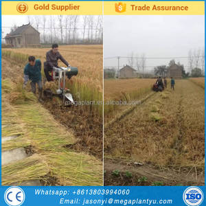 Macchina <span class=keywords><strong>Raccolta</strong></span> <span class=keywords><strong>del</strong></span> <span class=keywords><strong>cotone</strong></span> Paglia/Paglia di <span class=keywords><strong>cotone</strong></span> Reaper/Paglia di <span class=keywords><strong>cotone</strong></span> Harvester - Product Image 2