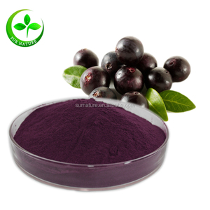 Hete Verkoop Biologische Acaipoeder 100% Puur Acaibessenpoeder - Product Image 1
