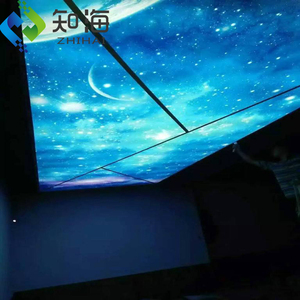 Décoration de bar d'hôtel ZHIHAI <span class=keywords><strong>Plafond</strong></span> décoratif en <span class=keywords><strong>toile</strong></span> tendue en PVC - Product Image 4