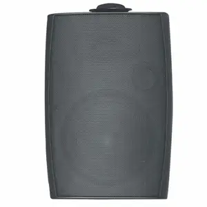 Public Address System PA System Conference System Speaker Ceiling Speaker And Wall Speaker 20W 30W 40W 60W 80W