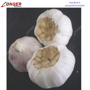 Máy Cắt Rễ Tỏi Tự Động Hoàn Toàn | Máy Cắt Rễ Tỏi | Máy Loại Bỏ Rễ Tỏi - Product Image 6
