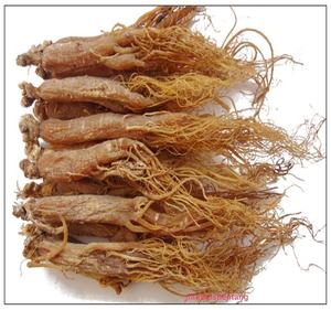 Ginseng rojo - Product Image 4