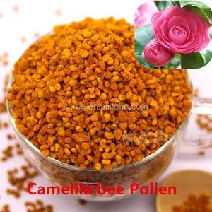 Natuurlijke Verse Nieuwe Pure Eetbare Camellia Bee Pollen