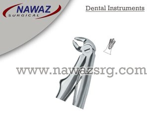 Forceps d'extraction de dents dentaires Fig.6 Produits de logo personnalisé de haute qualité Instruments dentaires en acier inoxydable - Product Image 2