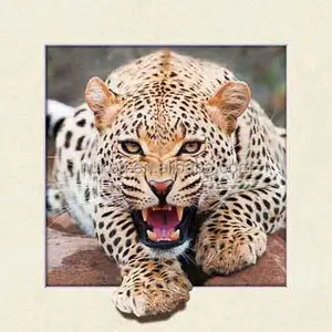 Тигровый дизайн 5d рисунок с линзовидной печатью