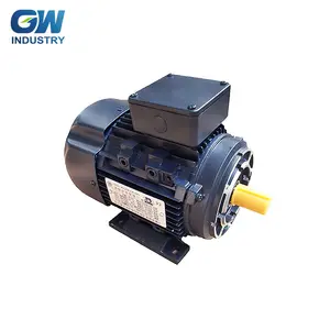 Cheap Price 220v Ac Electric Motors For Sightseeing Bus