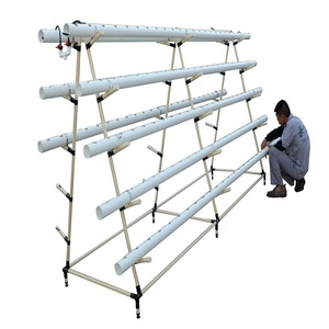 Sistema Hidropónico NFT de Gran Escala para Cultivo de Tomate y Pimiento - Product Image 5