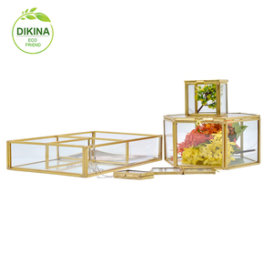 <span class=keywords><strong>Boîte</strong></span> de luxe en <span class=keywords><strong>laiton</strong></span> pour photo, forme ronde, cœur hexagonal, Rectangle, cylindre en <span class=keywords><strong>verre</strong></span>, fleur, cadeau, USB, <span class=keywords><strong>bijoux</strong></span>, chapeau, vente en gros, pièces - Product Image 5