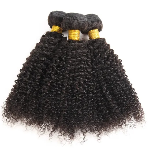 Factory Direct Wholesale Price Virgin Brazilian Curly Hair Kinky Curly Human Hair Extension For Black Women