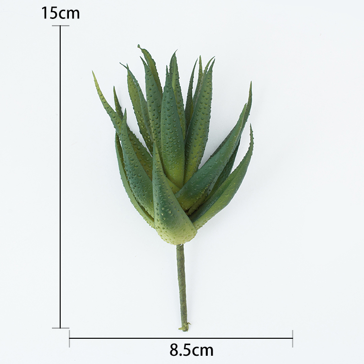 Référence: BF1801020
