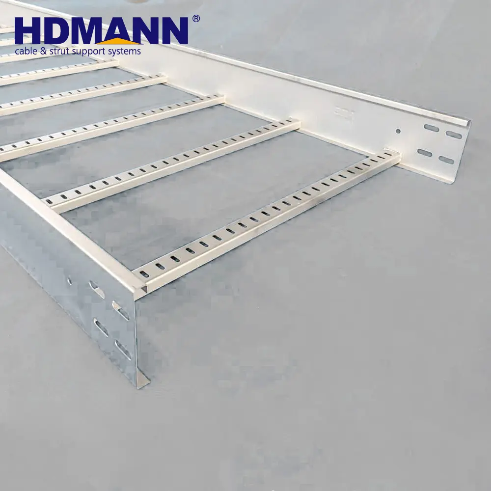 Nema 20B 20C Kabel Ladder Ladder Lade Nen-en 61537:2007 Kabel Management Clausule 10.4 Staal 100-400Kg Na Maten Met Piek Covers