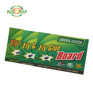 Carta Adesiva per Mosche e Zanzare, Trappola per Insetti, Vendita Diretta dalla Fabbrica - Product Image 3