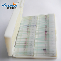 Human Dental Medical Oral Histology Tooth Slides Histology Slide
